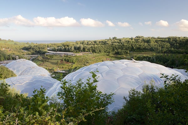 Newquay welches beinhaltet Regenwald