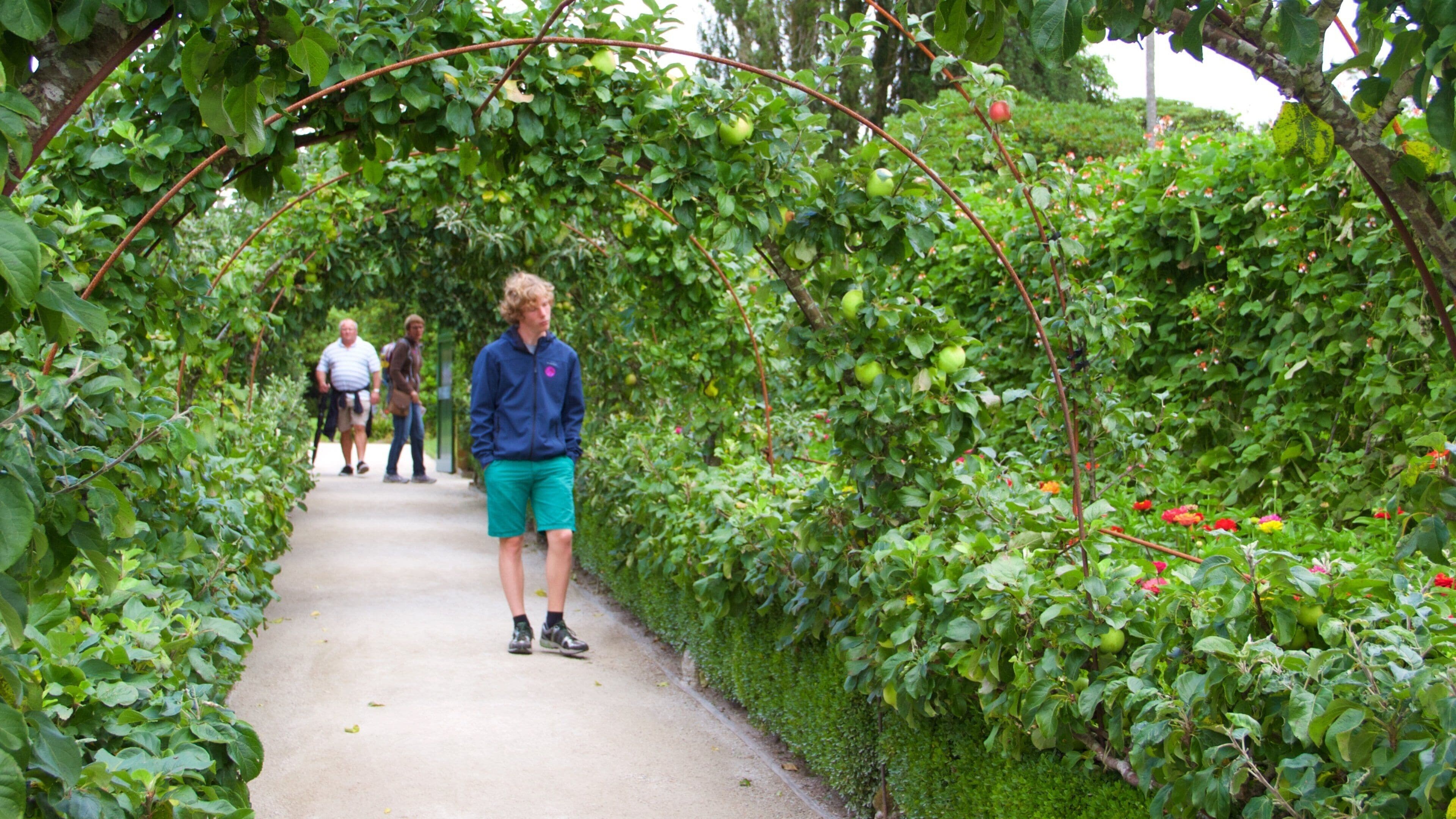 A pathway surrounded by lush greenery and a metal archway.