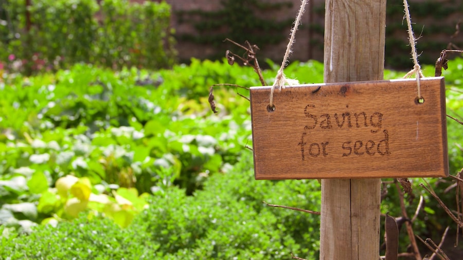Lost Gardens of Heligan featuring a park and signage