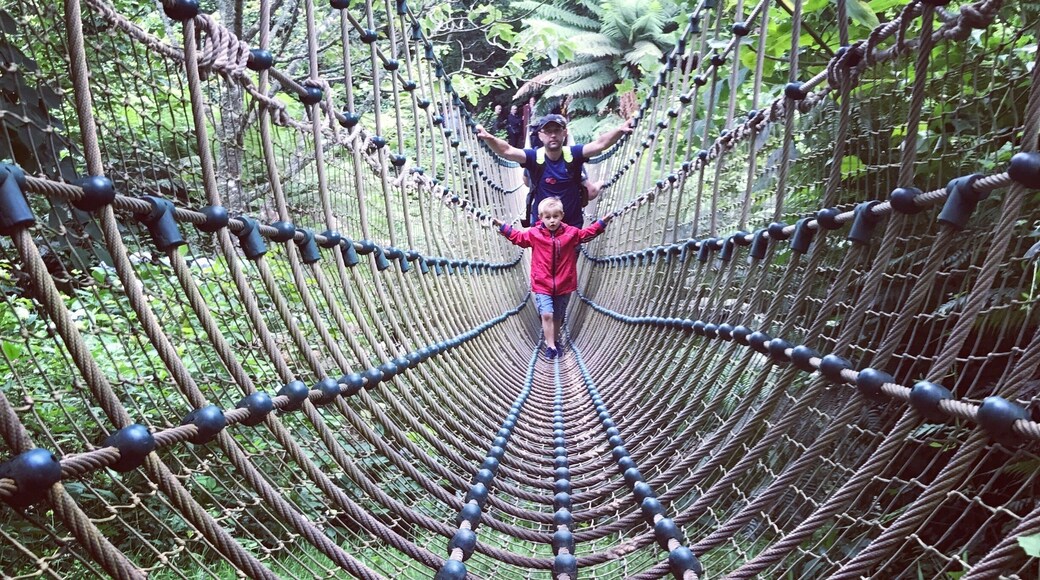 Such a beautiful place. It is impossible to see it all in one day. My kiddies loved it #outdoors #kidsfun #summerholiday #family #adventure #parks #familydayout #hiking #lostgardens