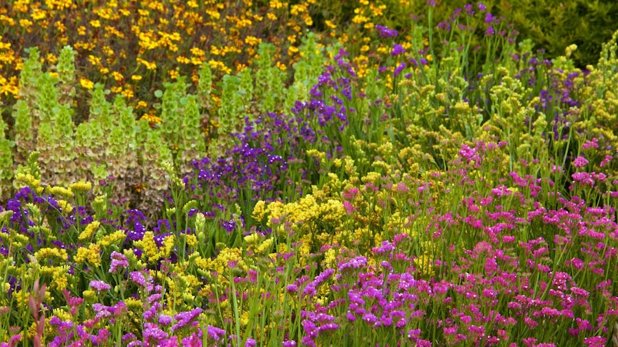 Lost Gardens of Heligan which includes wildflowers and flowers