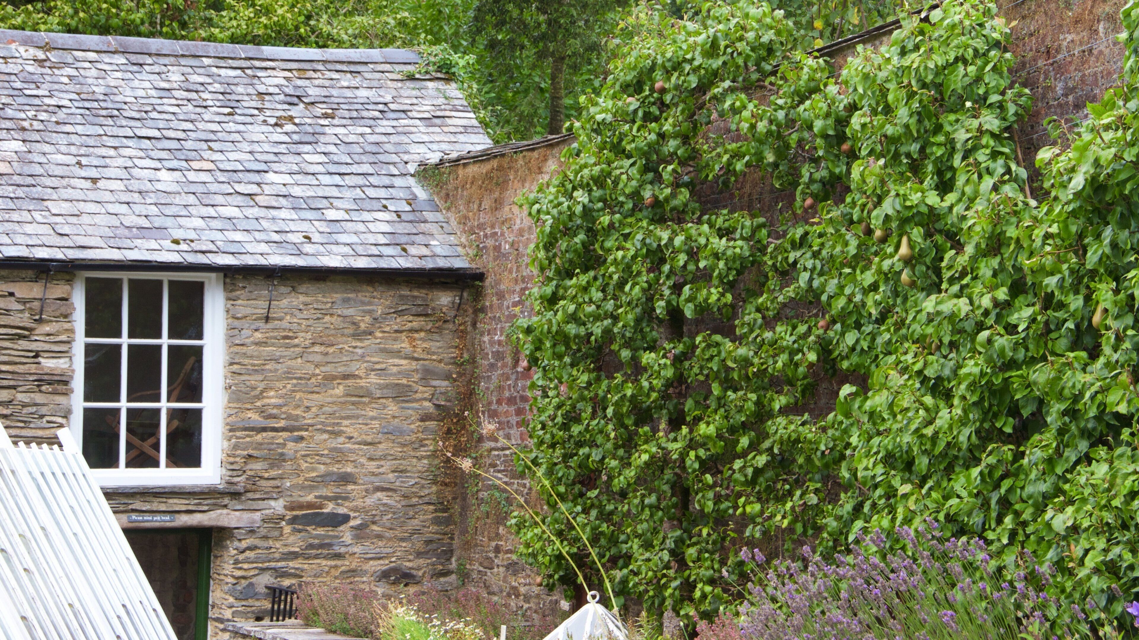 Lost Gardens of Heligan showing a house and a garden