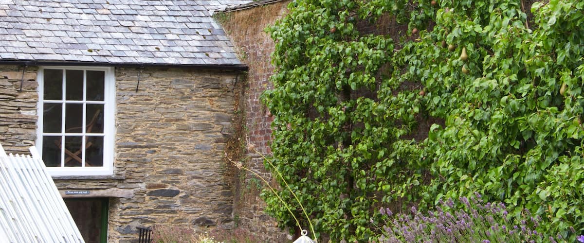 Lost Gardens of Heligan featuring a park and a house