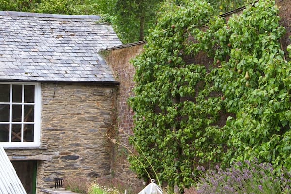 Lost Gardens of Heligan showing a house and a garden
