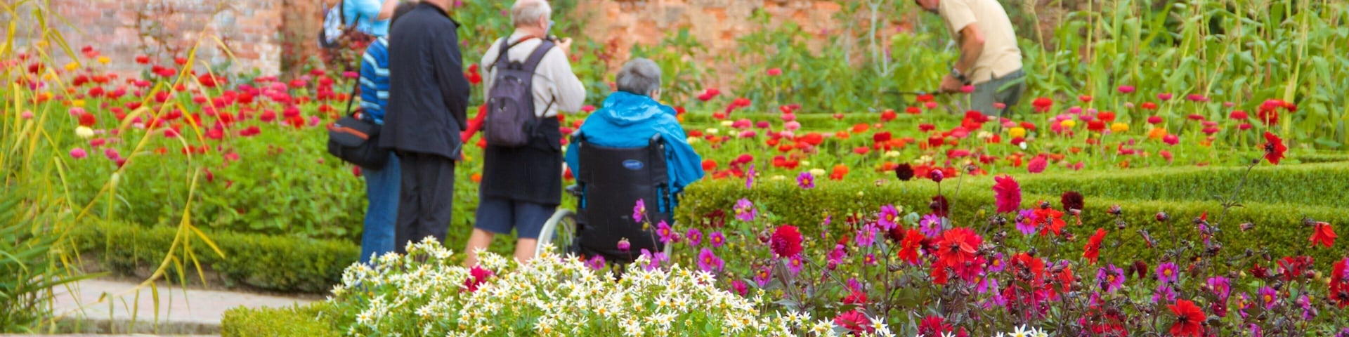 Lost Gardens of Heligan showing flowers and a park as well as a small group of people