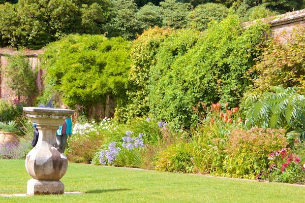 Lost Gardens of Heligan welches beinhaltet Park