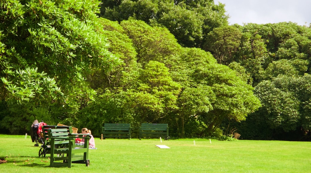 Lost Gardens of Heligan mostrando un parque