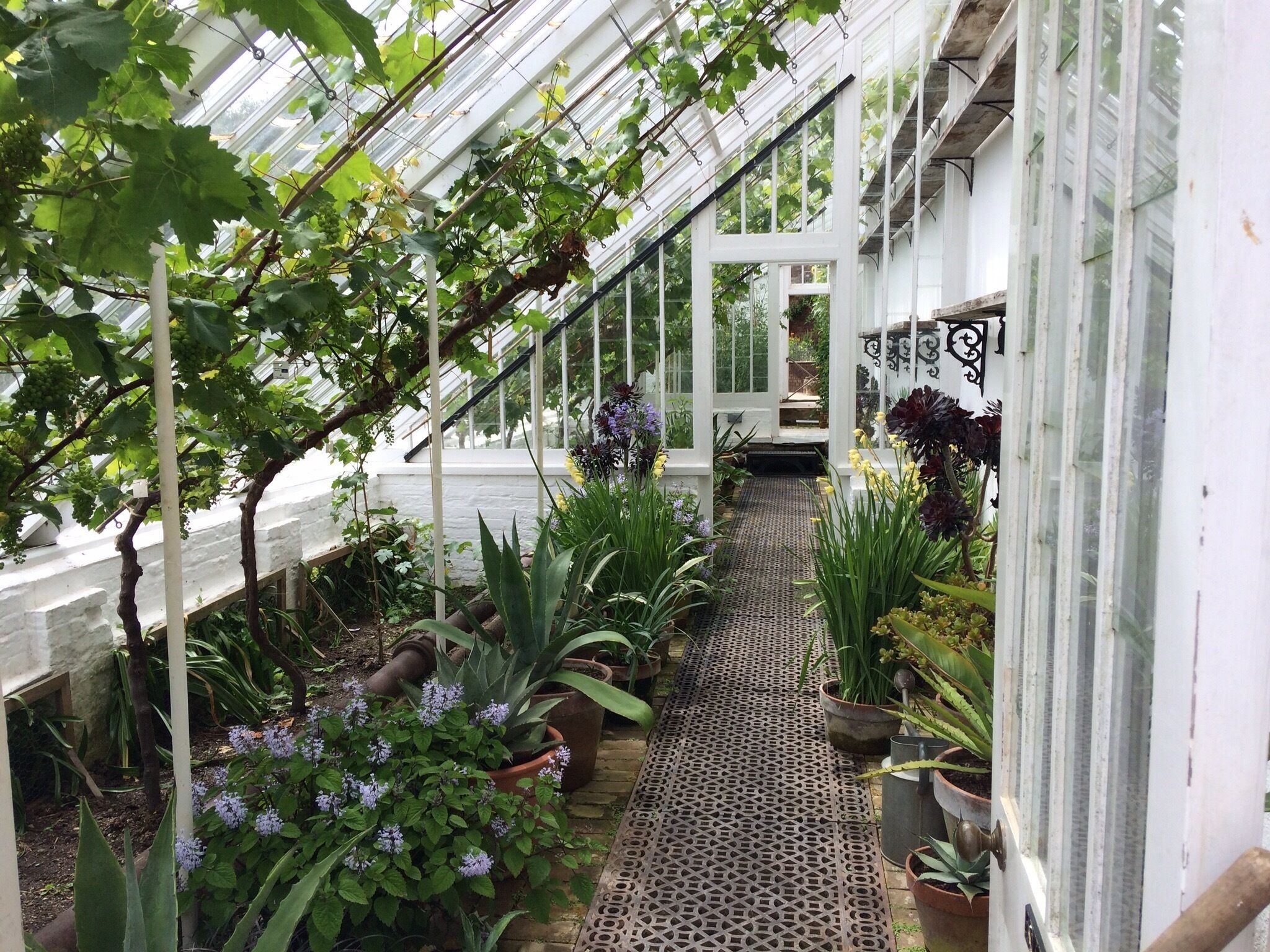 Exploring the greenhouses that I'd much prefer to be my own 