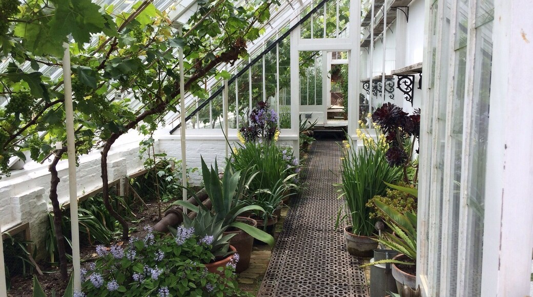 Exploring the greenhouses that I'd much prefer to be my own