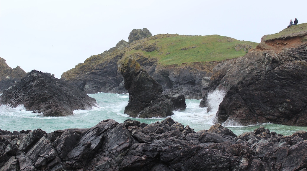 ไคแนนซ์โคฟ