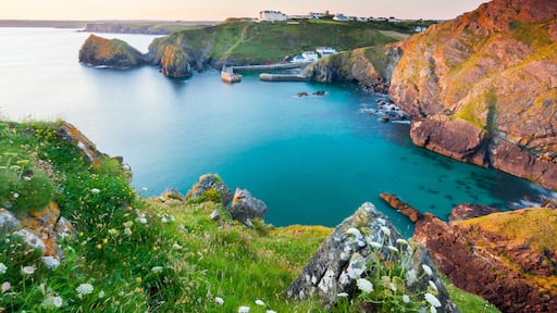 Helston