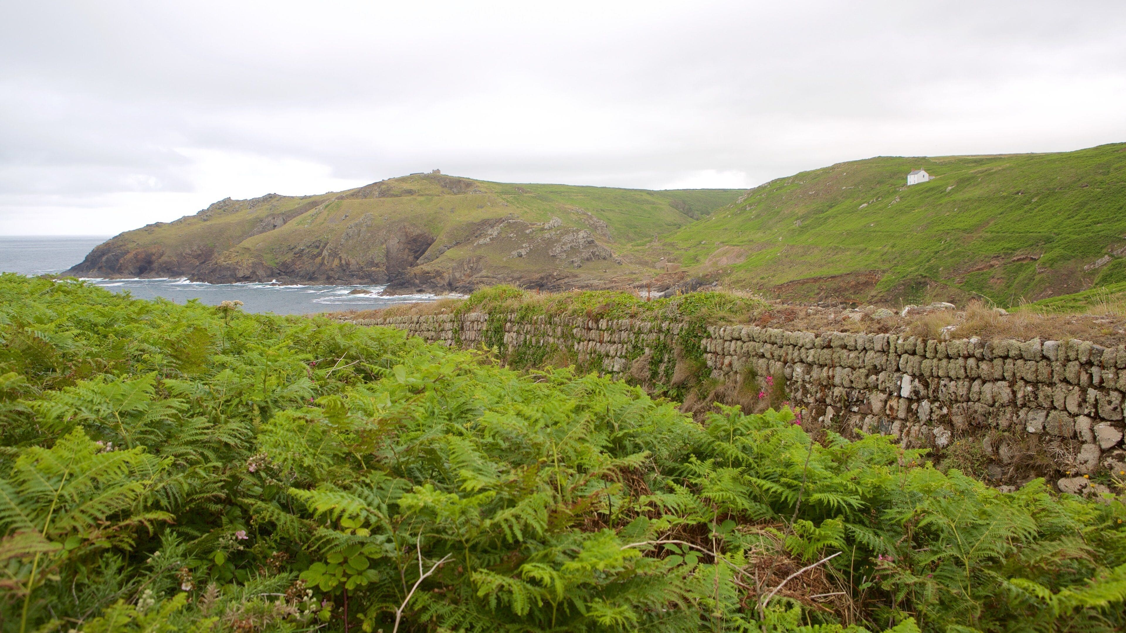Cape Cornwall toont algemene kustgezichten en landschappen
