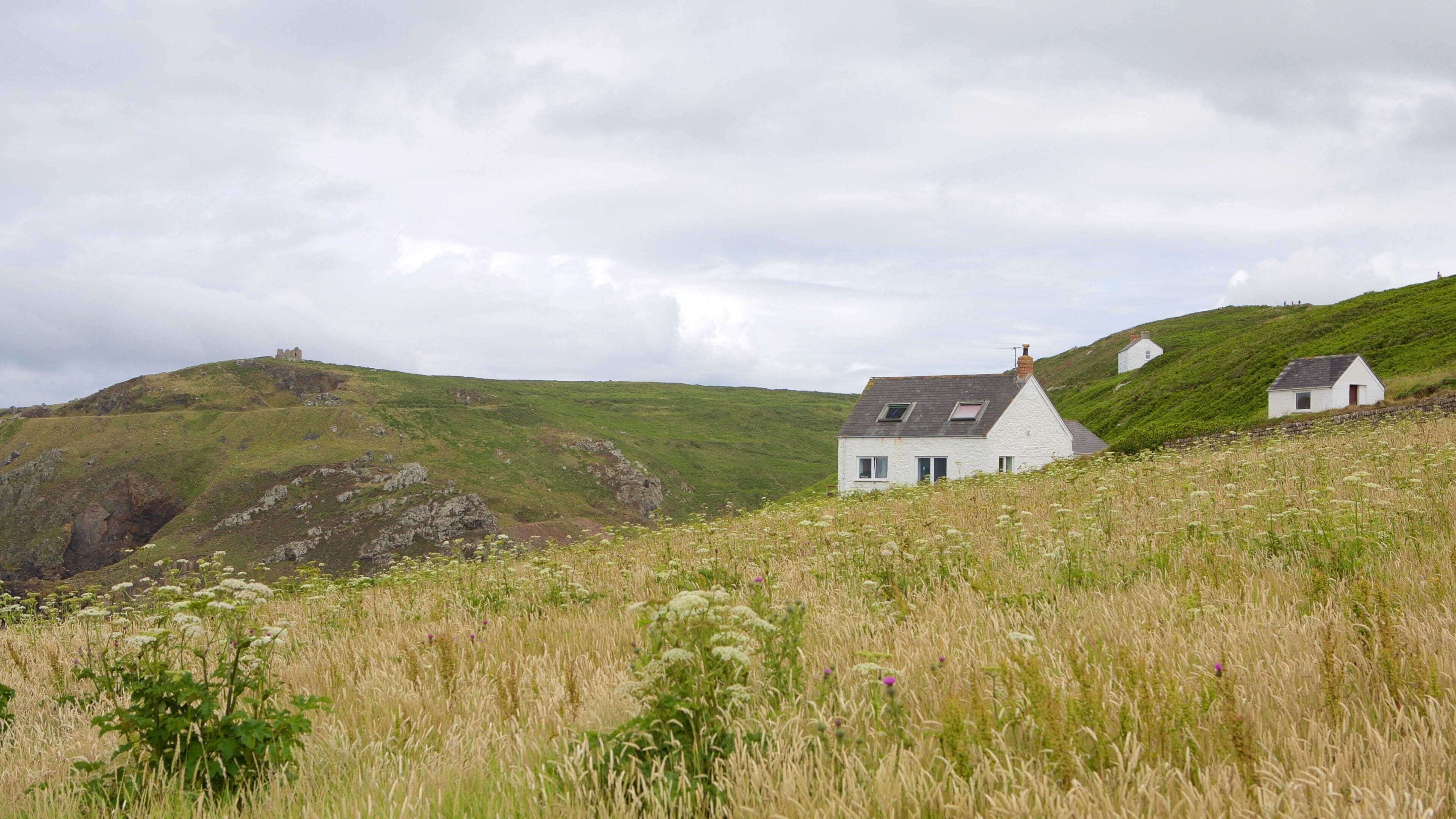 Cape Cornwall featuring a house and farmland