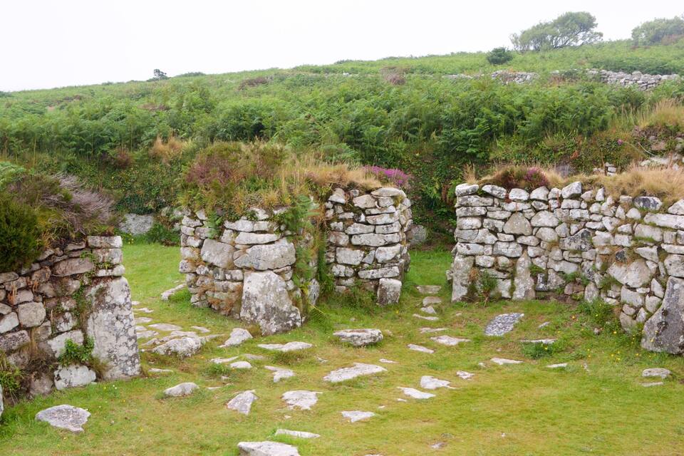 Stone ruins with grass and wildflowers.
