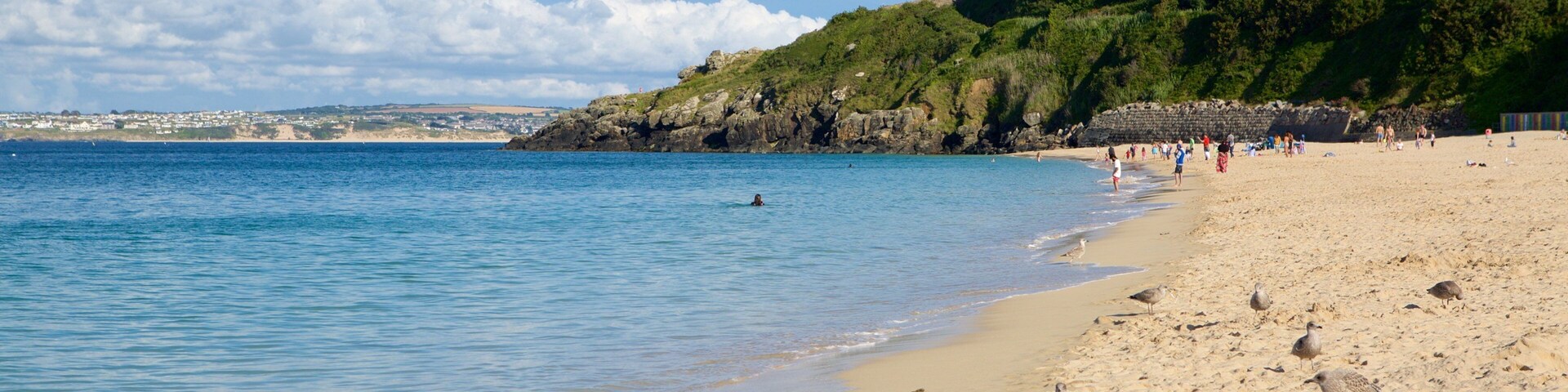 Porthminster Beach showing a coastal town, a beach and bird life