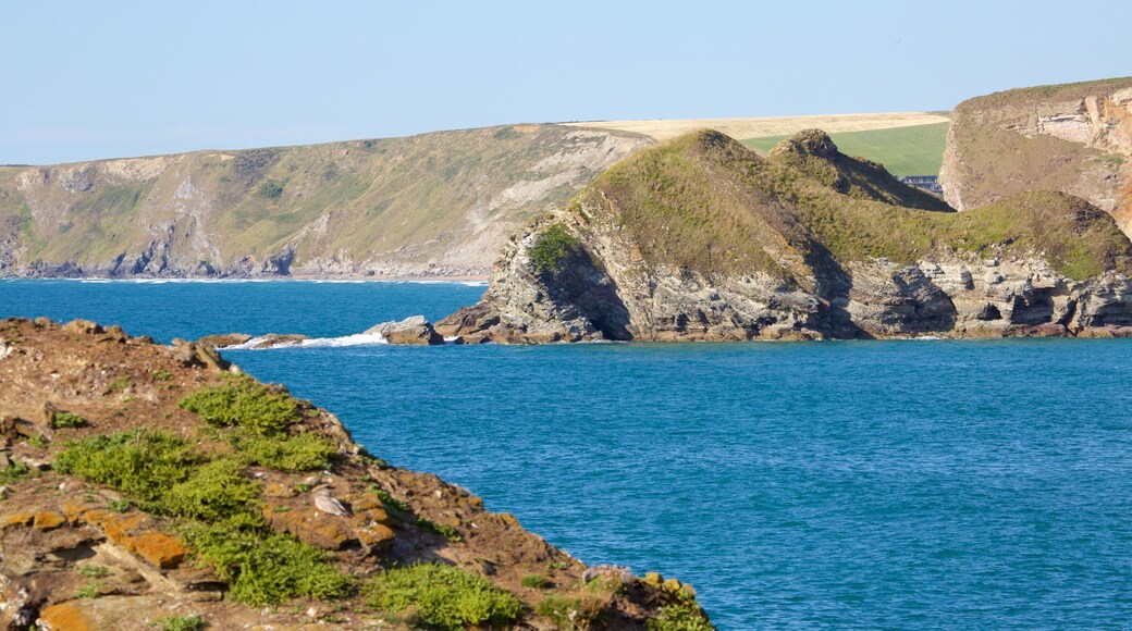 Porth Beach showing general coastal views and rugged coastline