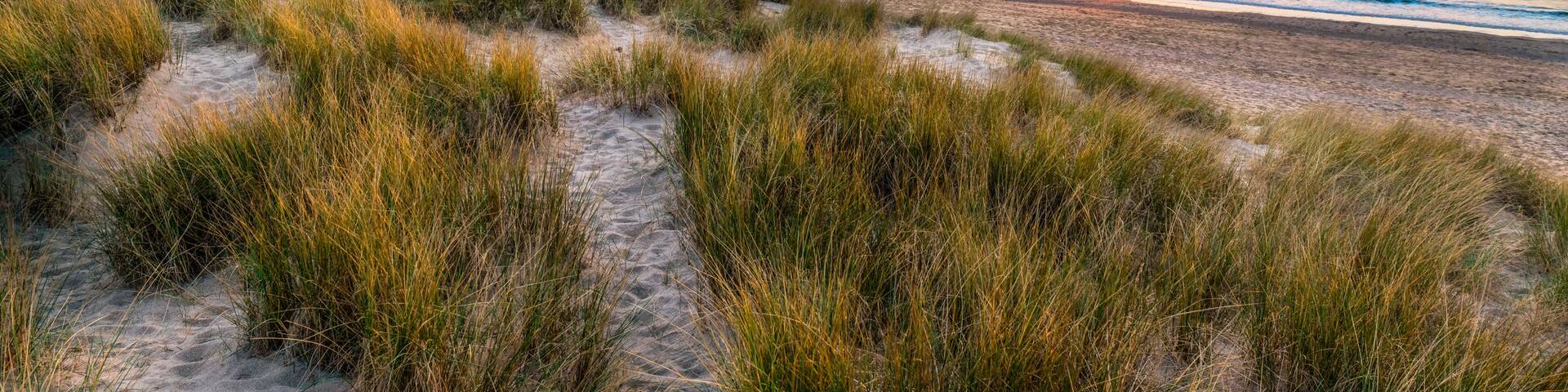 Golden Sunset at Holywell Bay