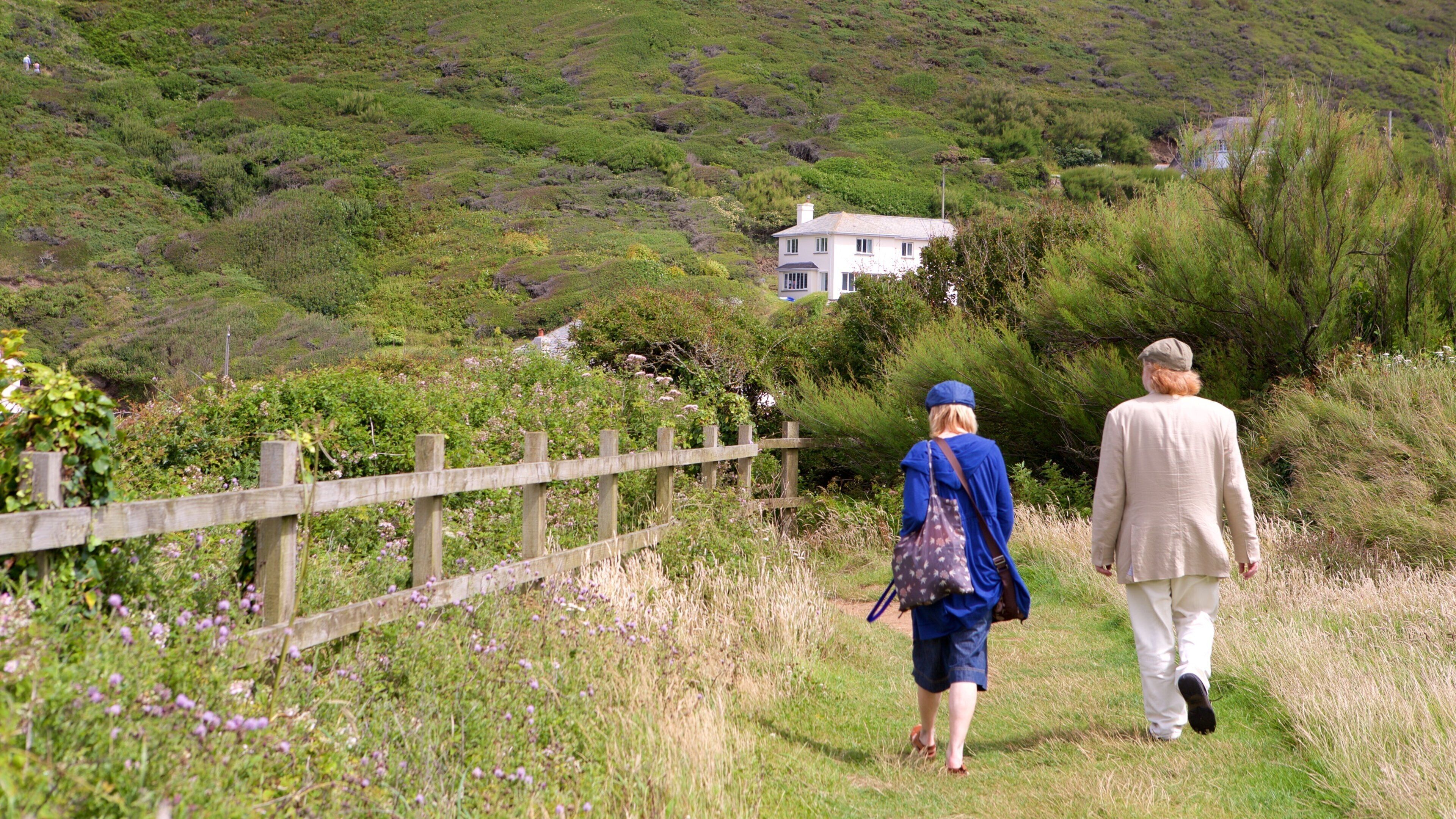 Crackington Haven featuring a coastal town as well as a small group of people