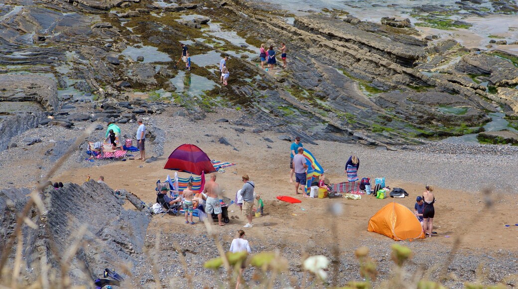 克拉金頓港 其中包括 陡峭海岸線 和 石灘 以及 小群人