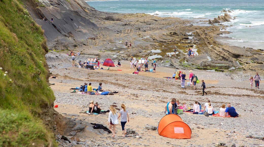 克拉金頓港 呈现出 陡峭海岸線 和 石灘 以及 小群人