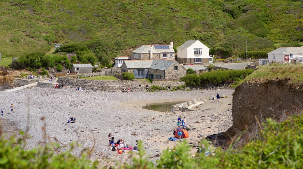 Crackington Haven showing a pebble beach and a coastal town