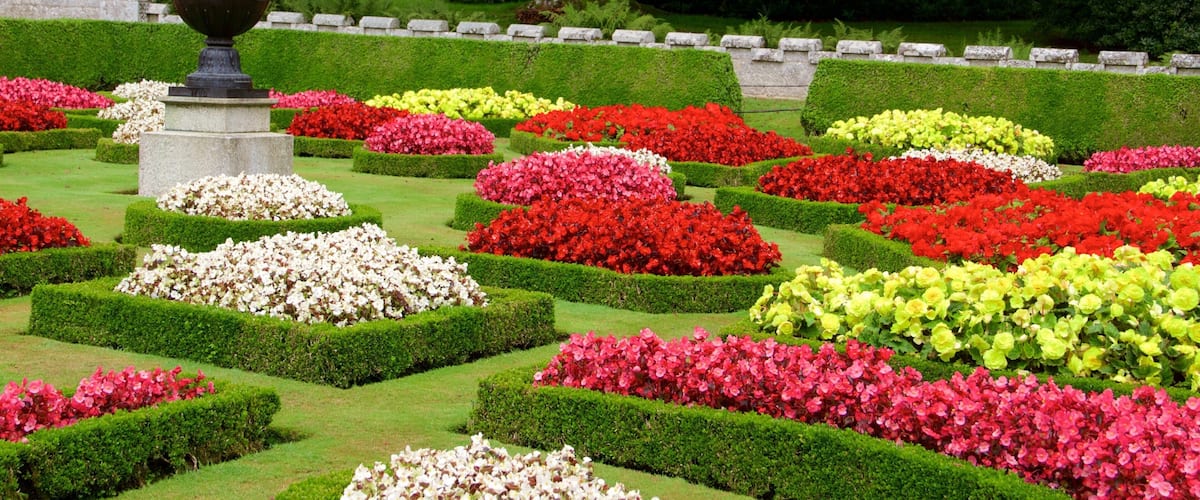 Lanhydrock which includes flowers and a garden