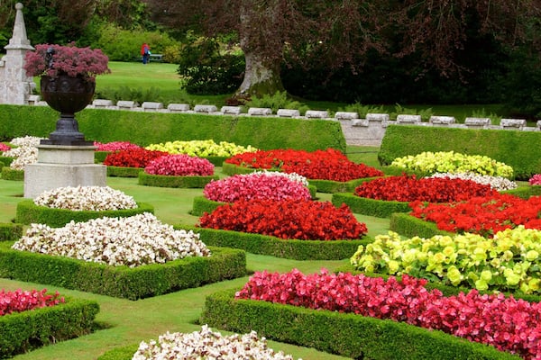 Lanhydrock which includes a park and flowers