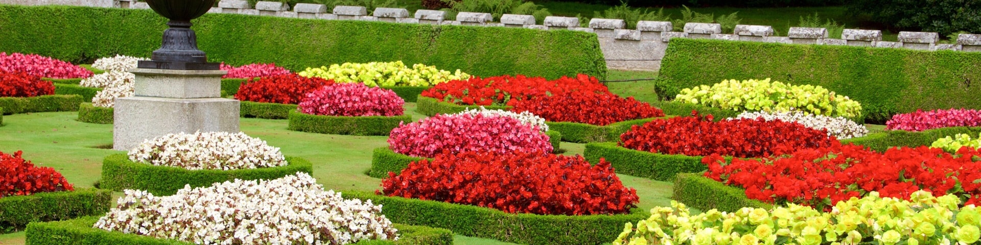 Lanhydrock which includes a park and flowers