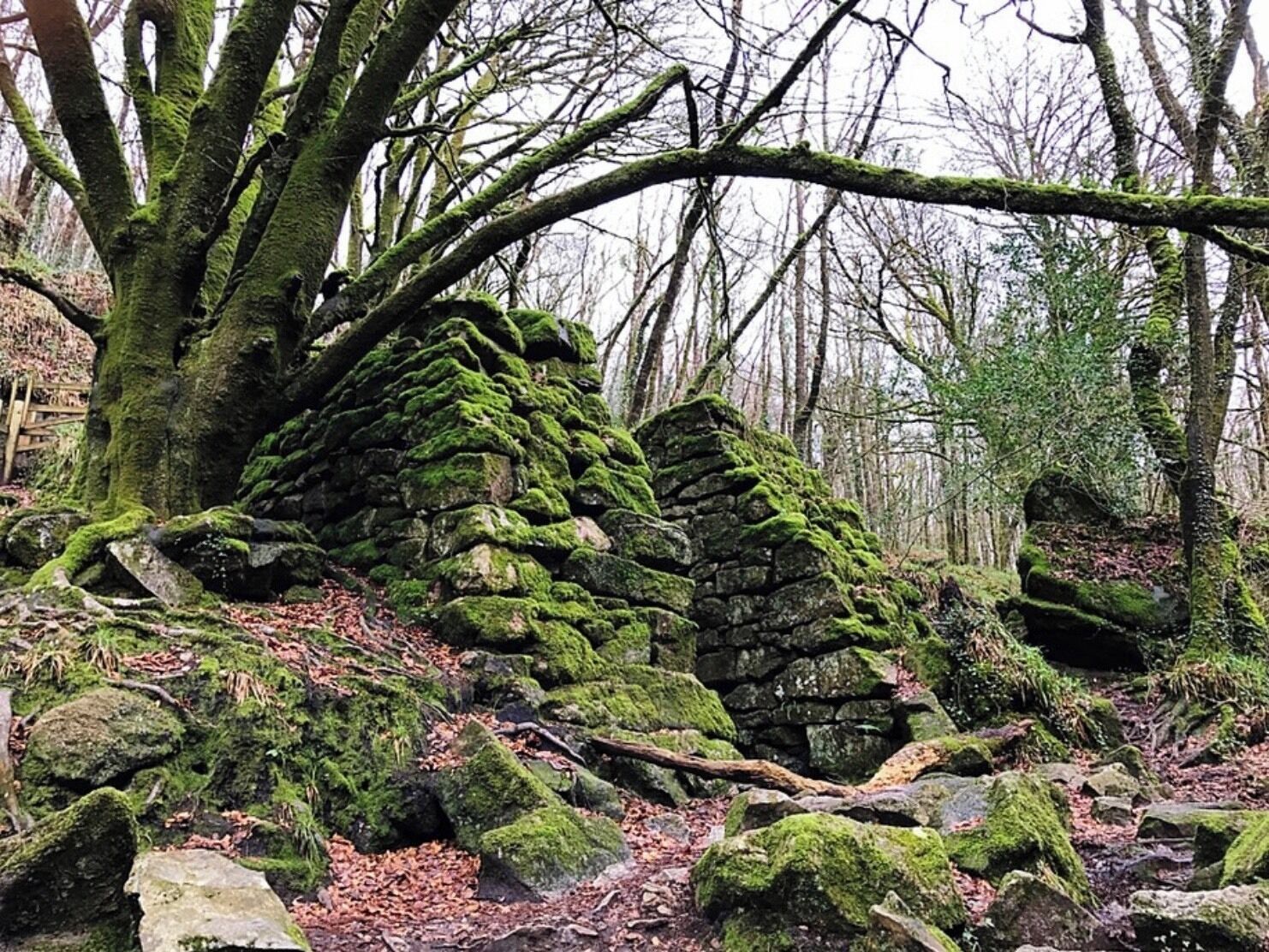 Derelict Victoria copper mines of Golitha