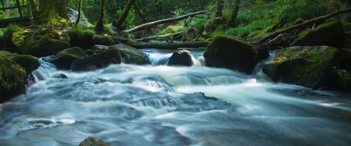 A flowing river with moss-covered rocks and a wooden bridge in a forest.