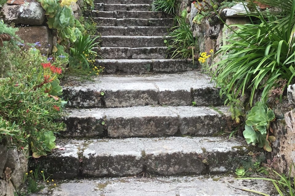 Eine steinerne Treppe, umgeben von üppigem Grün und Blumen.