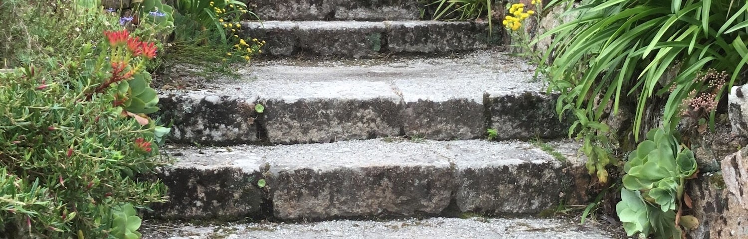 Steps