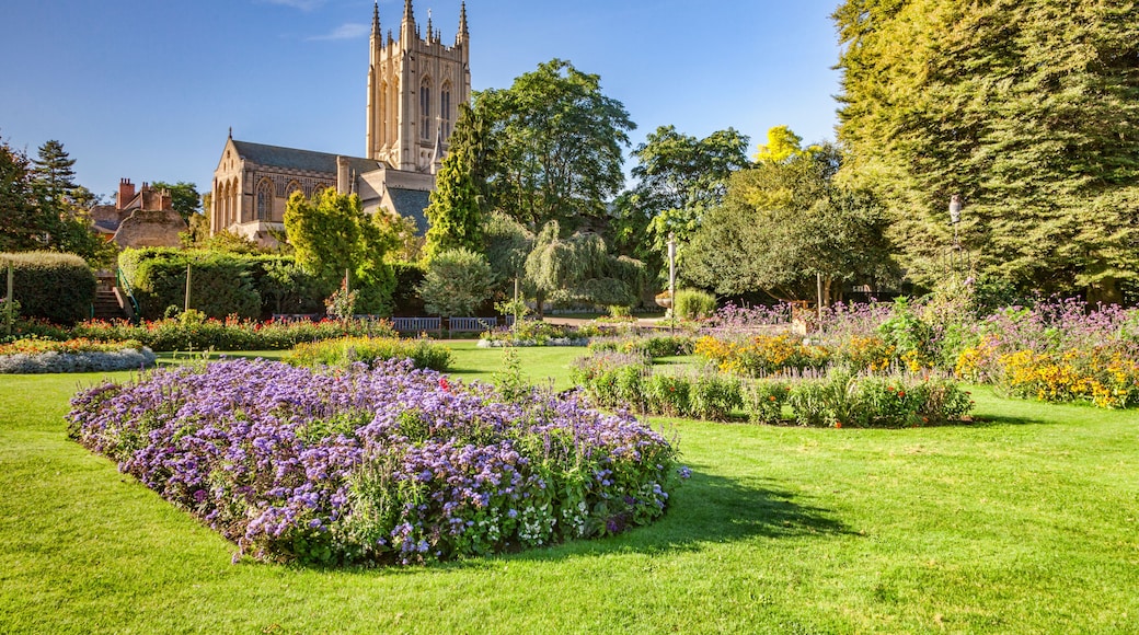 Bury St Edmunds Cathedral and Abbey Gardens, Cambridgeshire, England, UK