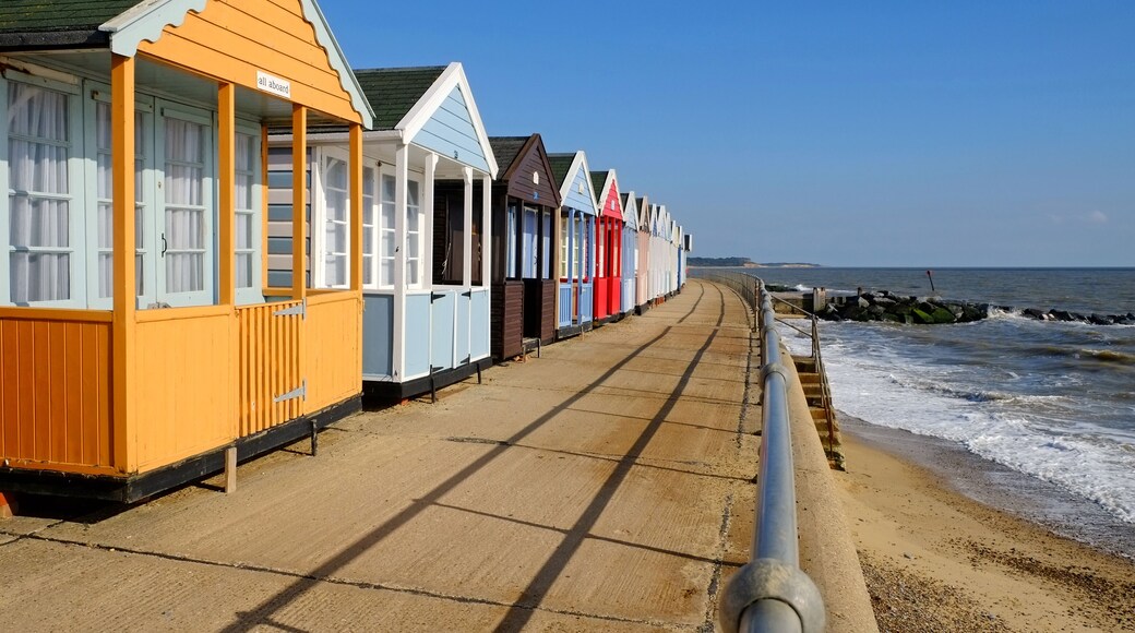 사우스월드 비치