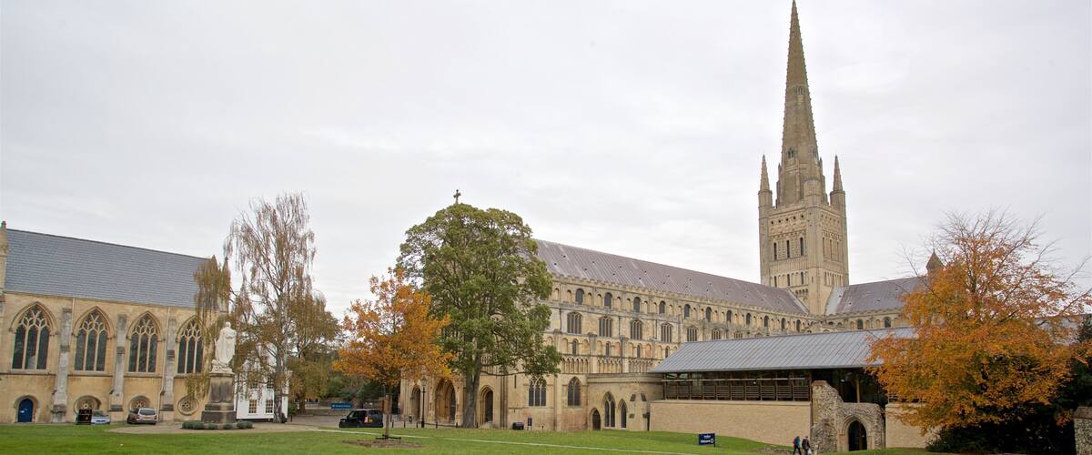 ๋
ธ๋ฆฌ์น ๋์ฑ๋น ์ ๋ณด์ฌ์ฃผ๋ ๋ฌธํ์ ์ฐ ๊ฑด์ถ ๊ณผ ์ ์