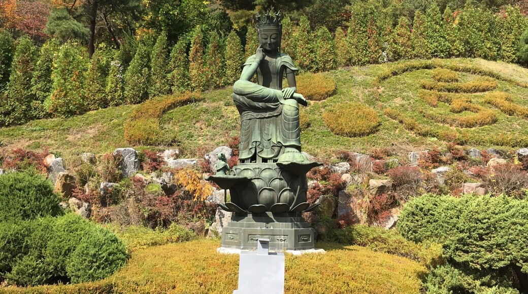 The Colors of Fall in South Korea