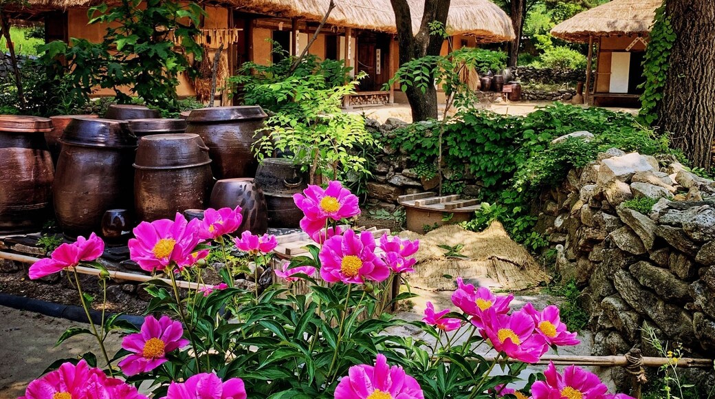 This village is set up in a natural environment, occupying about 245 acres. You can see over 260 traditional houses reminiscent of the late Joseon Dynasty, which lasted for five centuries.1392 l-1897!
Real houses from across the country were relocated and restored to create a replica of a village from the late Joseon period, which is pretty cool. 😊
If you’re a fan of K-dramas & Korean period films this should be part of your stop in Korea as it is one of the most popular filming locations... #koreanfolkvillage #culture