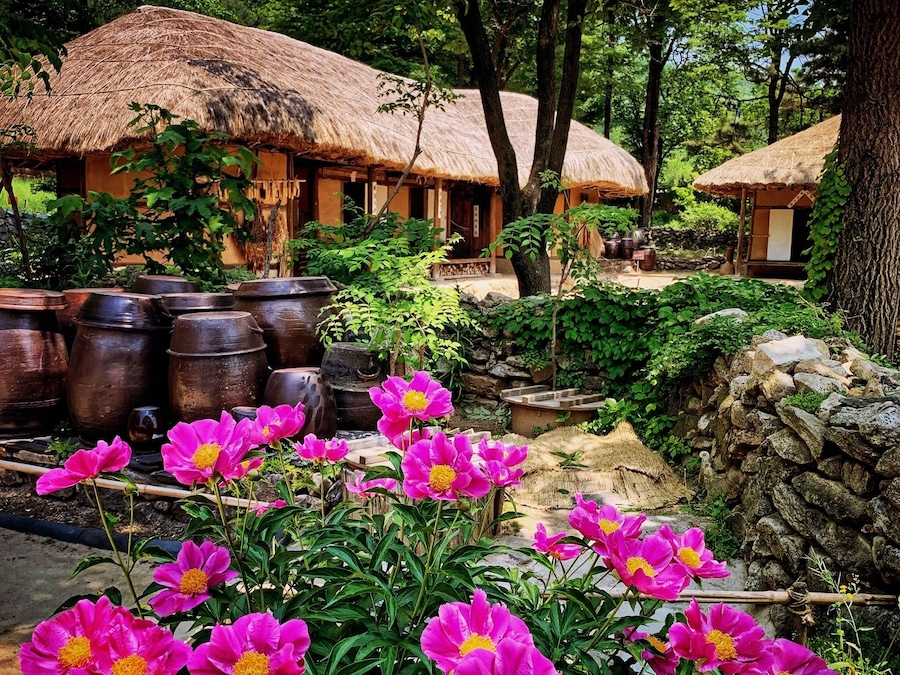 A traditional thatched-roof house surrounded by lush greenery and vibrant pink flowers.