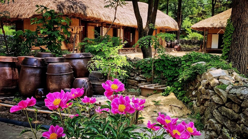 This village is set up in a natural environment, occupying about 245 acres. You can see over 260 traditional houses reminiscent of the late Joseon Dynasty, which lasted for five centuries.1392 l-1897!
Real houses from across the country were relocated and restored to create a replica of a village from the late Joseon period, which is pretty cool. 😊
If you’re a fan of K-dramas & Korean period films this should be part of your stop in Korea as it is one of the most popular filming locations... #koreanfolkvillage #culture