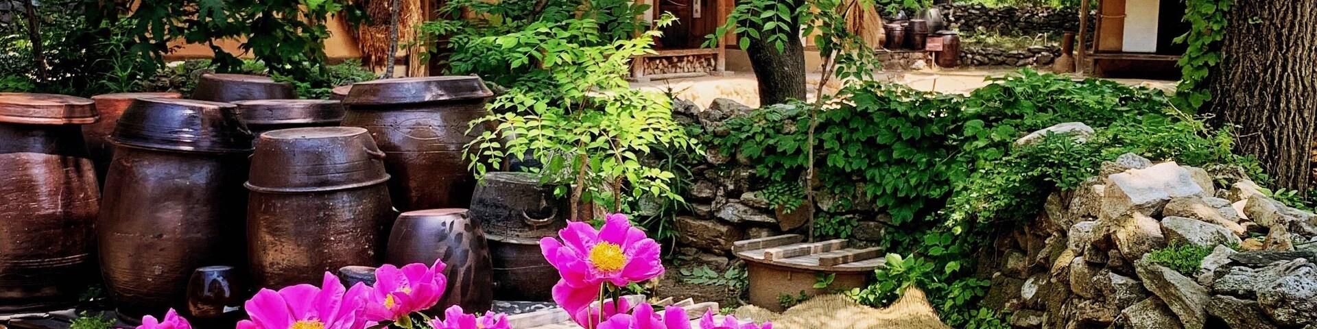 This village is set up in a natural environment, occupying about 245 acres. You can see over 260 traditional houses reminiscent of the late Joseon Dynasty, which lasted for five centuries.1392 l-1897!
Real houses from across the country were relocated and restored to create a replica of a village from the late Joseon period, which is pretty cool. 😊
If you’re a fan of K-dramas & Korean period films this should be part of your stop in Korea as it is one of the most popular filming locations... #koreanfolkvillage #culture