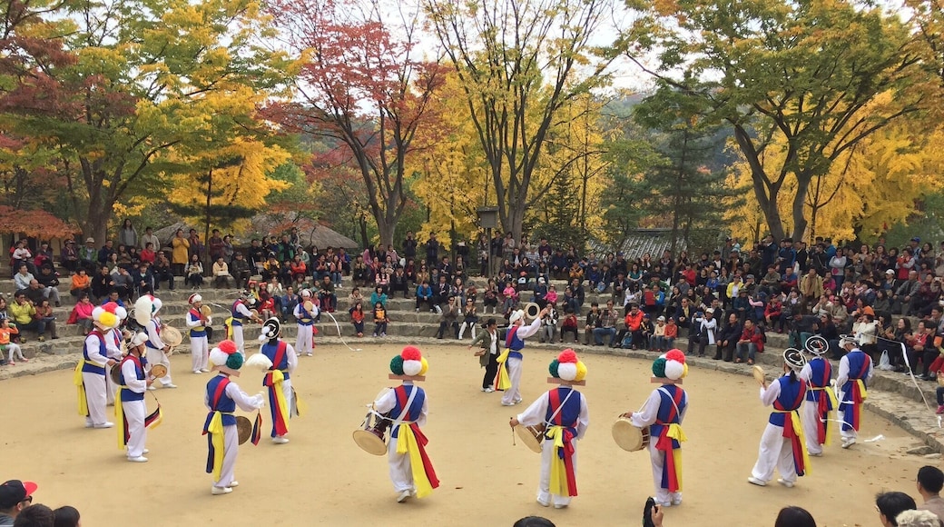 A Korean Folk Dance.
Various programmes are planned for the visitors throughout the day. A must visit sight.
