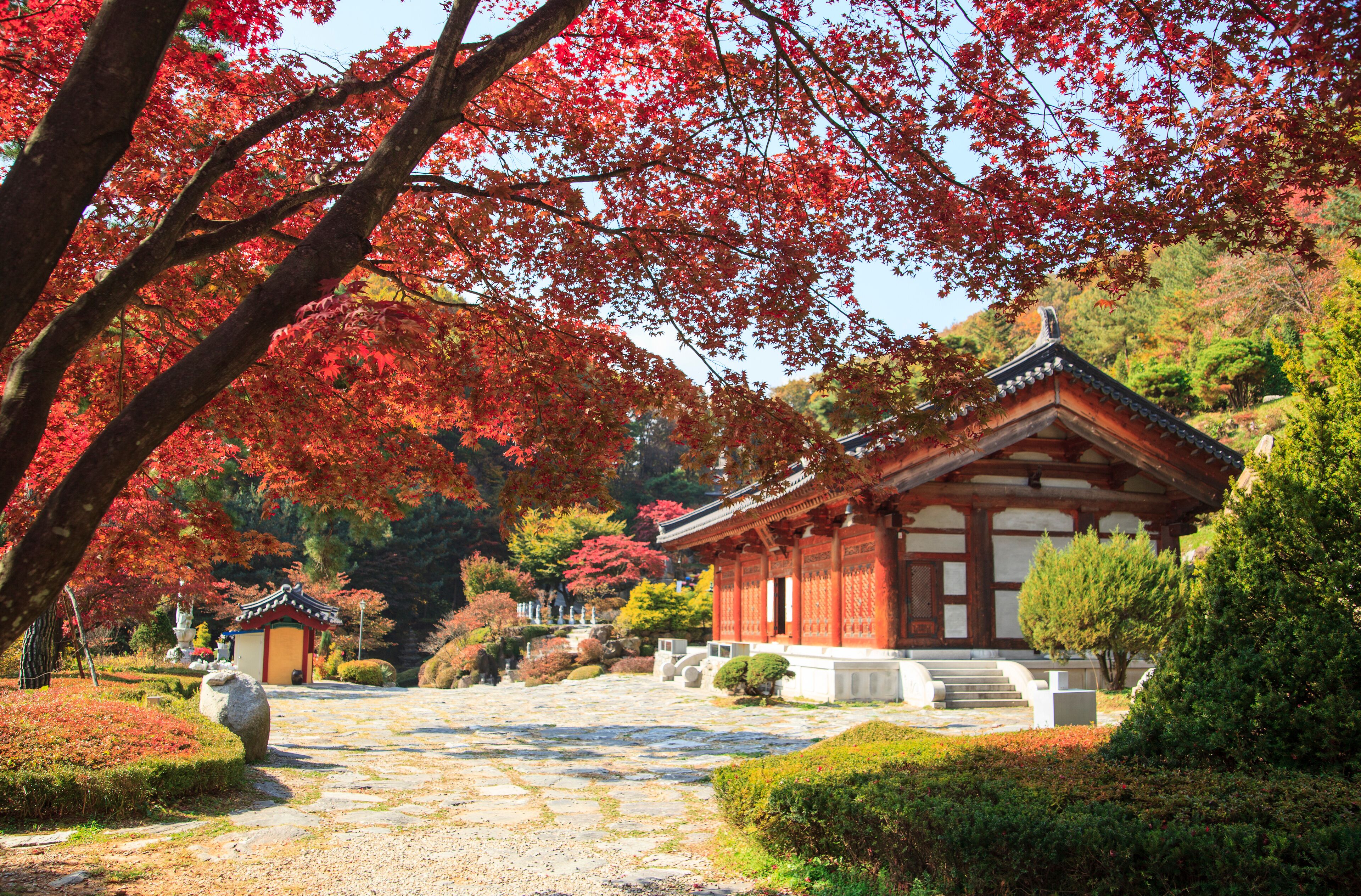 A traditional Japanese temple surrounded by autumn foliage.