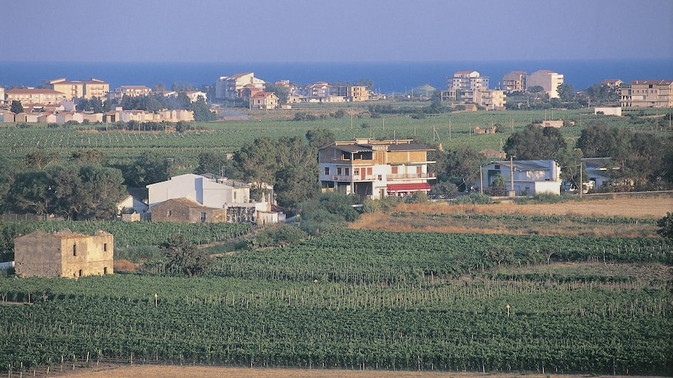 A coastal town with vineyards, buildings, and the sea in the background.