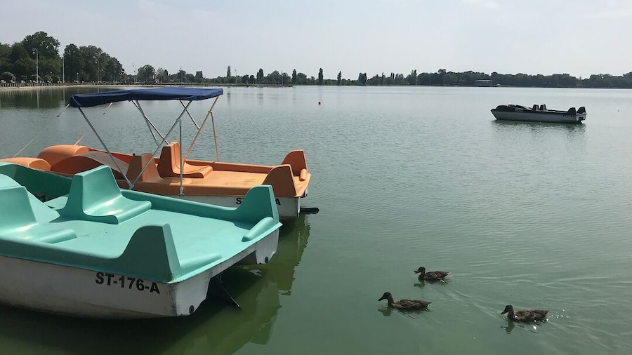 #LakePalić #Palić #Serbia #Jul2018 #iPhone7 #LifeAtExpedia