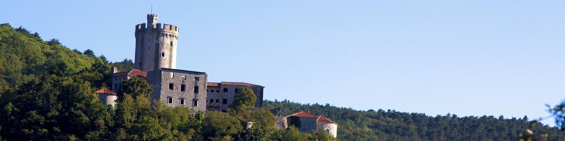 A castle on a hill surrounded by dense forest.
