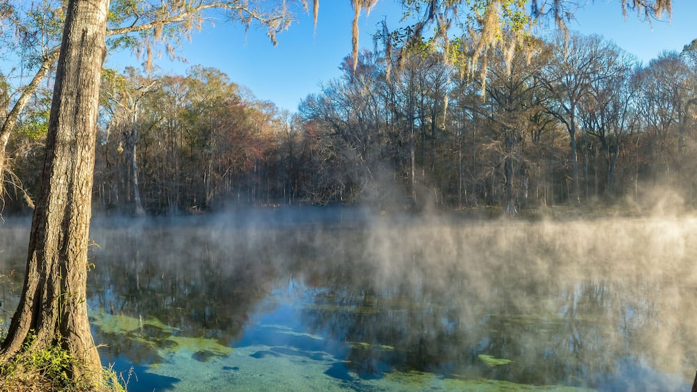 Early Winter Morning at Ginnie Springs on the Santa Fe River, Florida