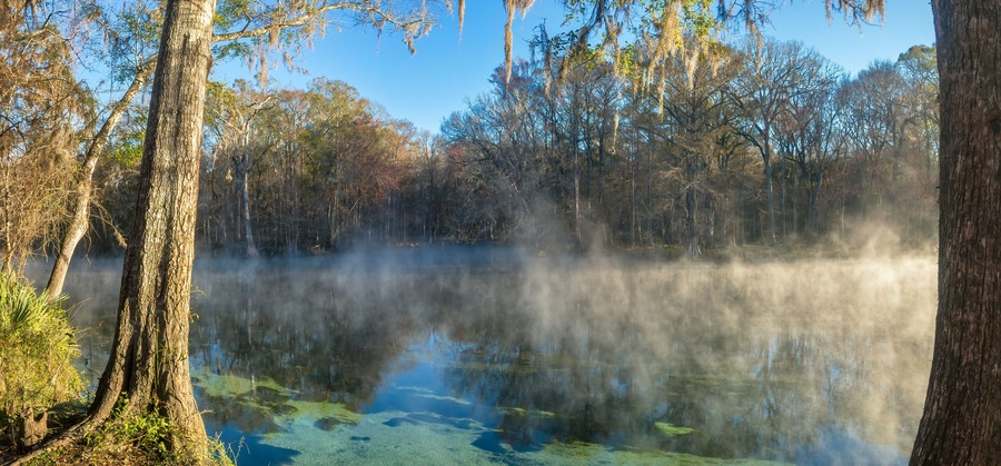 Early Winter Morning at Ginnie Springs on the Santa Fe River, Florida