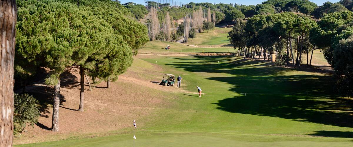 A golf course with a clear sky, trees, and a golf cart.