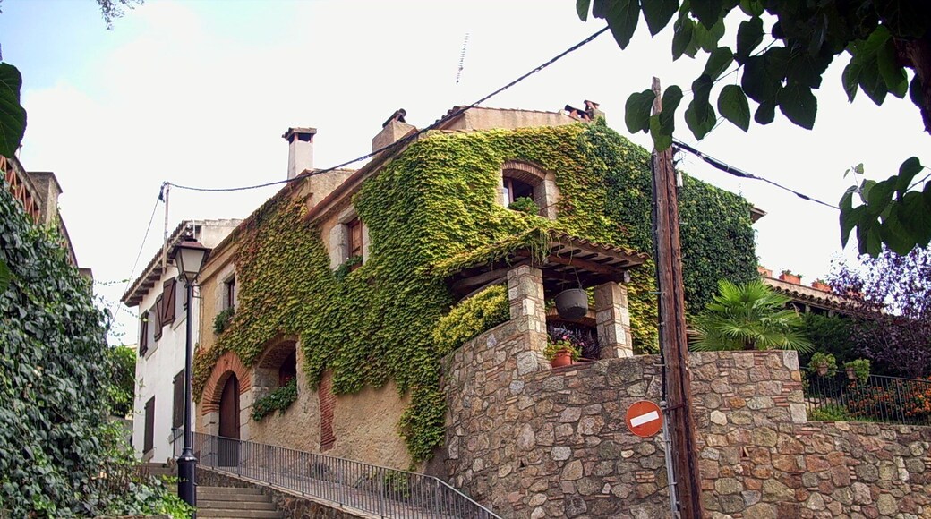 La Virgueria, a Sant Vicenç de Montalt, comarca del Maresme, Catalunya.