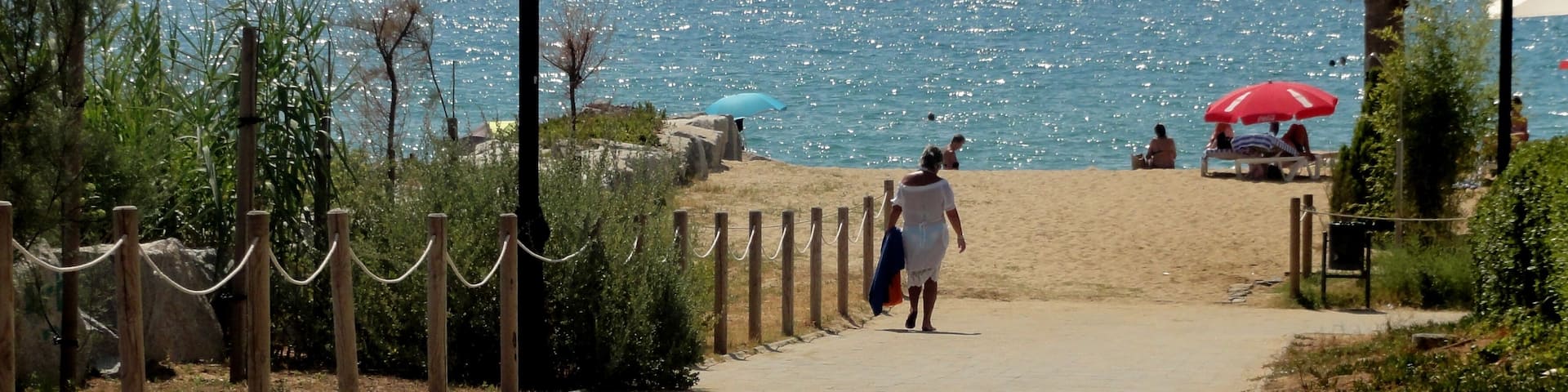 A coastal walkway with a beach, palm trees, and a boat in the distance.